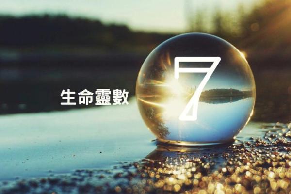 米粒大小与命运：命理学中的生命密码探秘