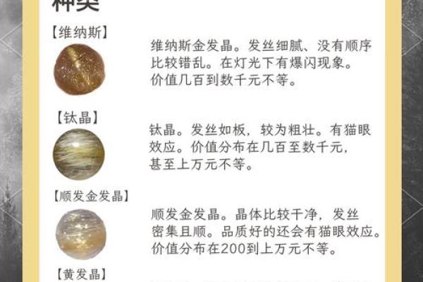 金运之命:探寻命理中的财富秘密与个人发展之道 金运之命:探寻命理中的财富秘密与个人发展之道