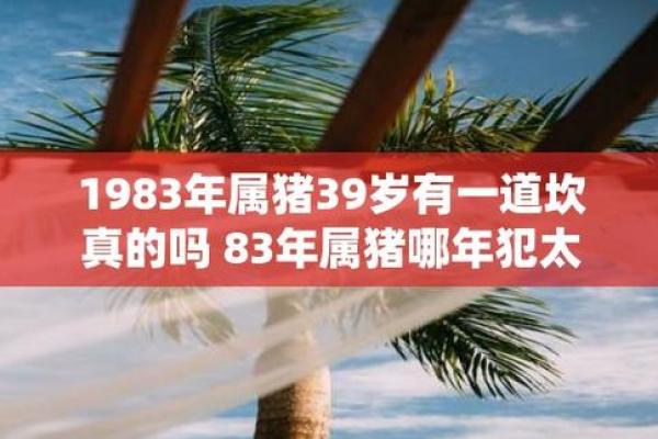 1983年属猪男命运解析：幸福生活与事业成功的关键