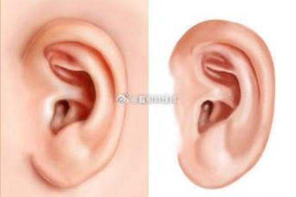 男士耳朵大的命运解析:神秘相貌与人生运势的关联 男士耳朵大的命运解析:神秘相貌与人生运势的关联