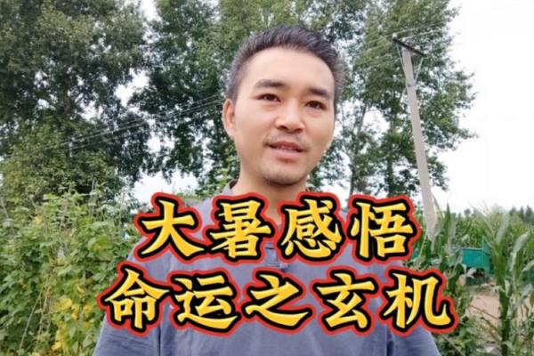 60岁属大龙,命运玄机与人生智慧探讨 60岁属大龙,命运玄机与人生智慧探讨