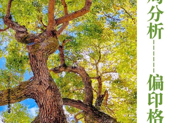 偏印偏财克制与男命命格解析:如何运用命理智慧提升人生 偏印偏财克制与男命命格解析:如何运用命理智慧提升人生