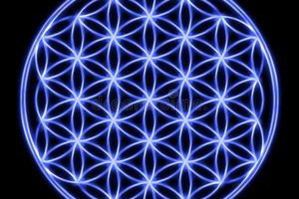 揭秘蛇大林木：命理中的生命之树与灵性象征