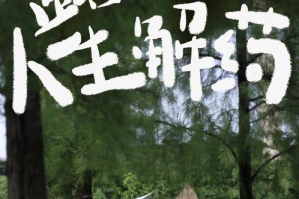 牧民幸福生活的源泉：大自然的馈赠与心灵的满足