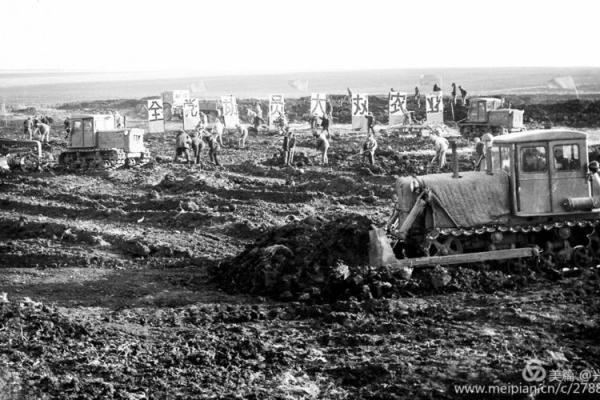 1941年马什么命:那些年里的故事与记忆 1941年马什么命:那些年里的故事与记忆