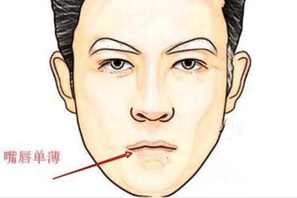 辛未年出生的人命运与性格解析