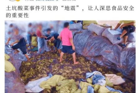 女人的命是芥菜命：关于女性的坚韧与柔软的一次深思