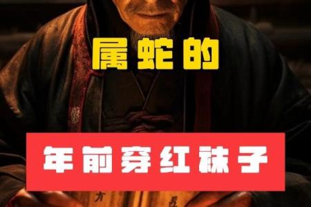 2021年属蛇人运势分析：探索你的命理密码与人生机遇