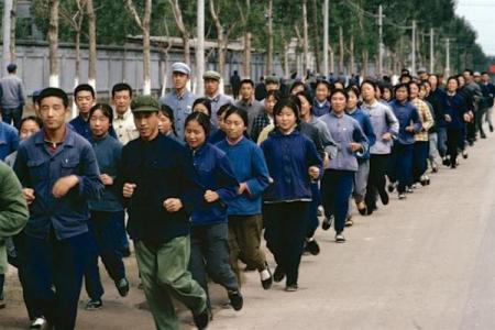 1976年出生的人命运解析与人生旅程探讨