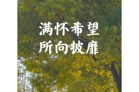 1963年牛年生人的命运与人生之路解析