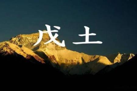 戊土男命解析：富贵命的命理奥秘与人生影响