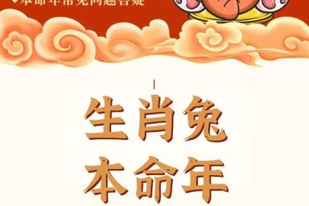 2023年属兔运势解读：最佳搭配命和性格剖析