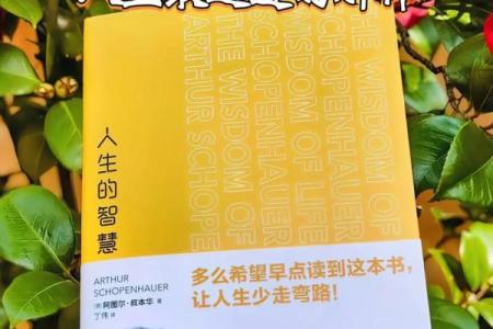 69岁的人是什么命？探讨人生八十的智慧与经验
