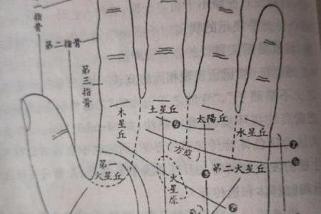 揭秘女生看手相，掌握命运的秘密！