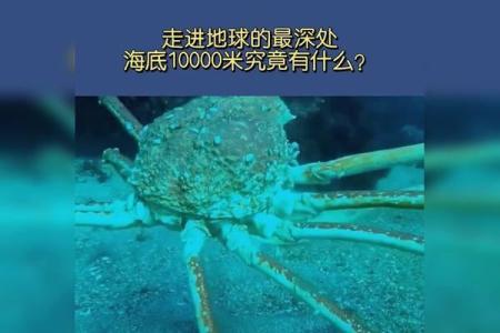 1960年出生马什么命：探索个性与命运的奇妙旅程