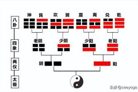 探秘华盖与童子命：命理中的独特现象与人生奥秘