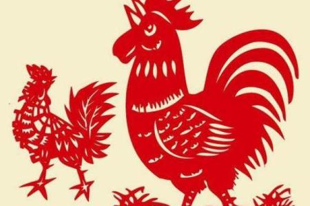 1993年属鸡男士命运解析与人生指导