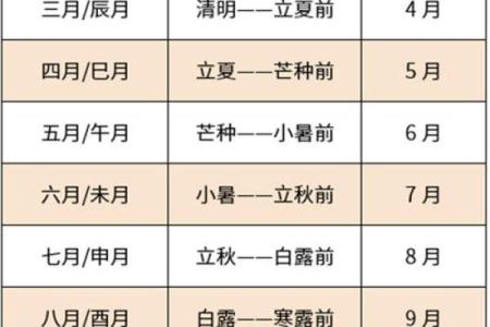 属龙是什么命：2012龙年人的命运与性格解析