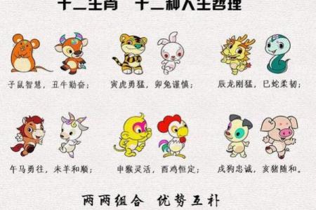 2013年出生的生肖与命理解析：探寻你的命运轨迹与人生方向