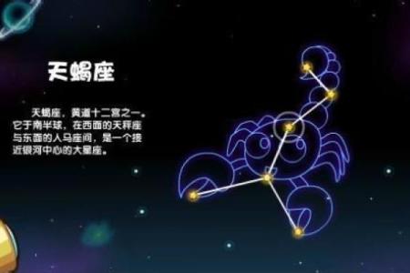 路旁土命与星座喝什么：开启神秘的命理之旅