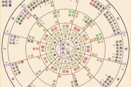 探索酉时得病的命格奥秘：如何化解与转运