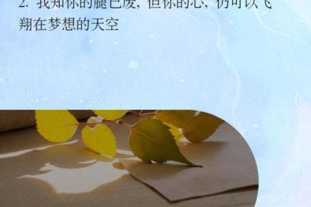 2003年命格解析：把握命运的钥匙，开启人生新篇章