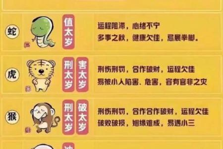 土命人不可佩戴的生肖，您知道吗？快来看看吧！