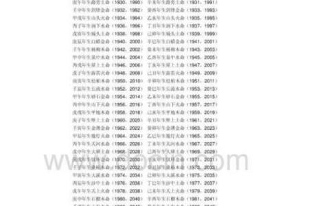 2002年属马人的命运：性格分析与五行缺失探讨