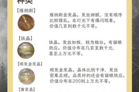 金运之命：探寻命理中的财富秘密与个人发展之道