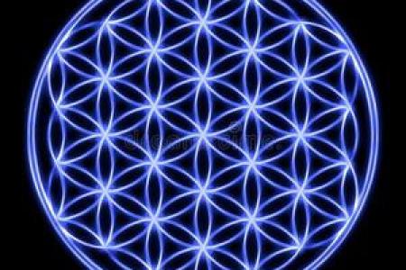 揭秘蛇大林木：命理中的生命之树与灵性象征