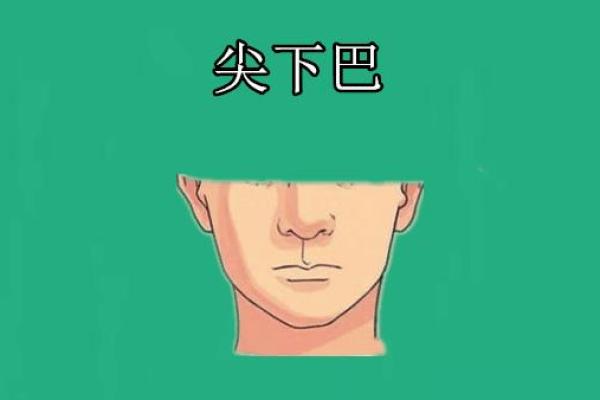 女孩尖下巴的命格解析:美丽与智慧的结合 女孩尖下巴的命格解析:美丽与智慧的结合