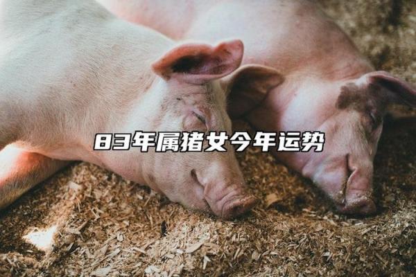 属猪女的财富运势与命理解析:最佳命局如何形成? 属猪女的财富运势与命理解析:最佳命局如何形成?