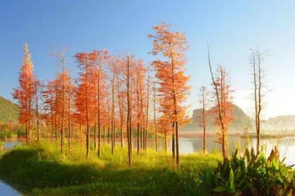 城头土命的颜色选择：如何为人生增加色彩与运势