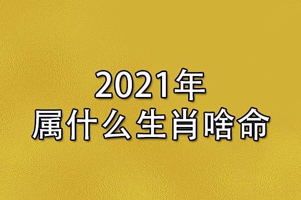 2026年命运解析：你的生肖在新的一年将迎来怎样的转变？