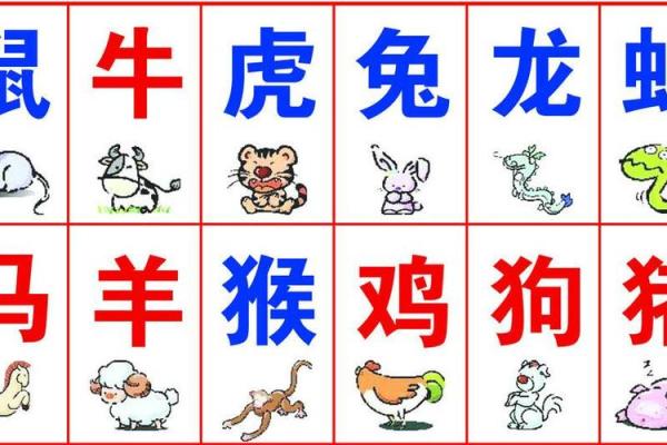 潮汕算命文化：探秘算命背后的智慧与信仰