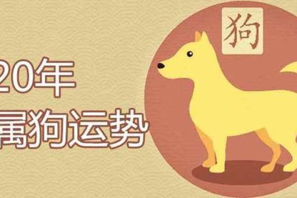 属狗的人在何时出生命最苦?揭秘命理真相! 属狗的人在何时出生命最苦?揭秘命理真相!