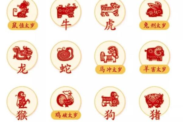 如何通过生肖了解猪年的命运,破解命理密码! 如何通过生肖了解猪年的命运,破解命理密码!