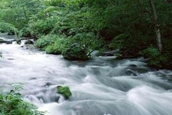 水命与土命不合的深层解析:命理中的和谐与冲突 水命与土命不合的深层解析:命理中的和谐与冲突