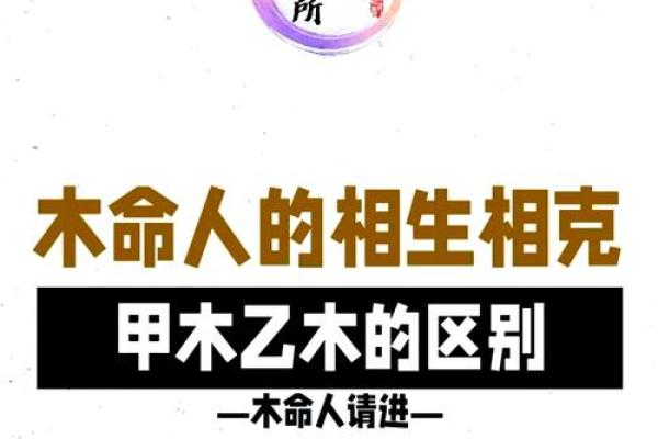探秘命格的奥秘:为什么不能完全依赖命运来判断人生? 探秘命格的奥秘:为什么不能完全依赖命运来判断人生?