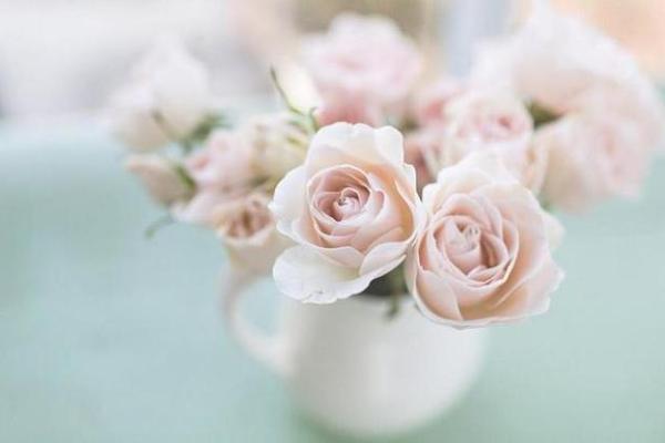 85年属牛的命运与性格解析,如何把握人生每个转折点? 85年属牛的命运与性格解析,如何把握人生每个转折点?