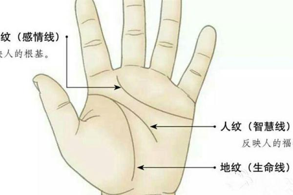 2020年出生的人命运解析:细数阳历命理背后的玄机 2020年出生的人命运解析:细数阳历命理背后的玄机