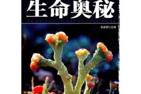 1964年龙年命行解析:探索命运与性格的奥秘 1964年龙年命行解析:探索命运与性格的奥秘