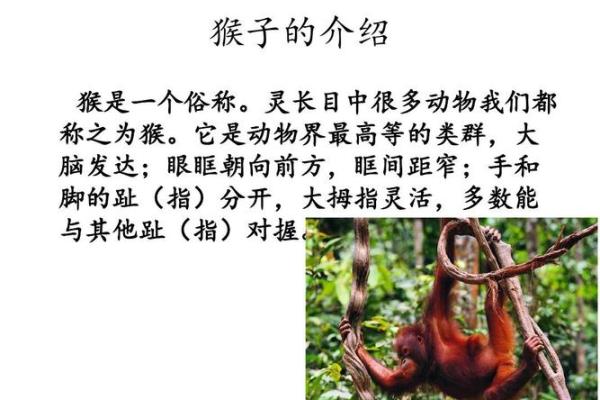 土命人的相克关系及其生活影响探讨 土命人的相克关系及其生活影响探讨