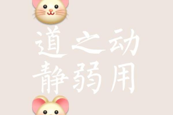 知其命而安其命:领悟生命的真谛与平静之道 知其命而安其命:领悟生命的真谛与平静之道