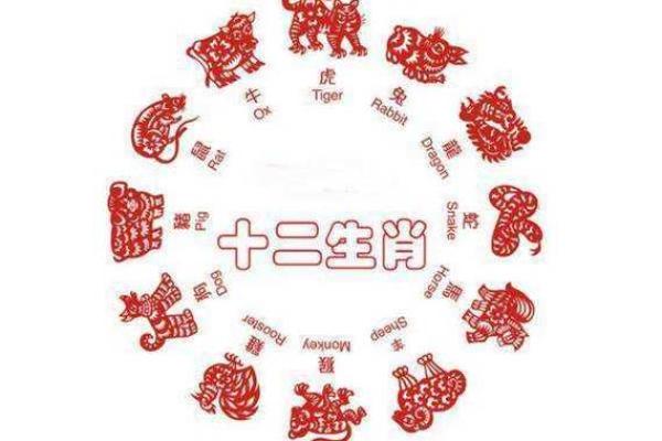 2026年属什么生肖?揭开命理的神秘面纱! 2026年属什么生肖?揭开命理的神秘面纱!
