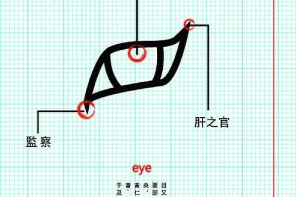 探索2017五行命理:揭开命运的神秘面纱 探索2017五行命理:揭开命运的神秘面纱