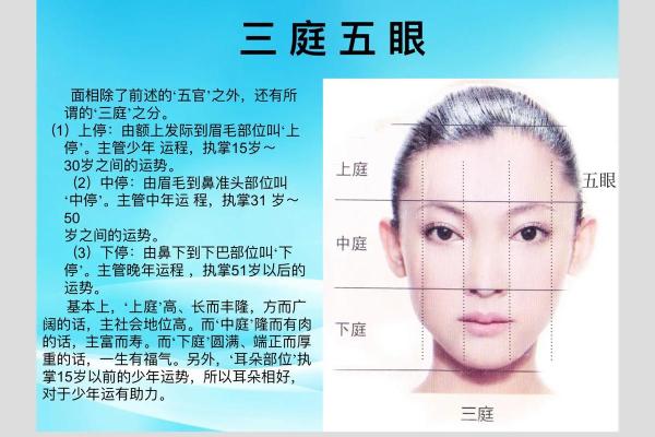 双眼眉之命：揭示人生的秘密与运势风向标