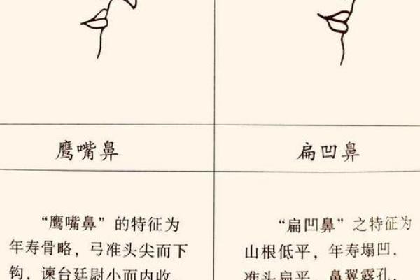 双眼眉之命：揭示人生的秘密与运势风向标