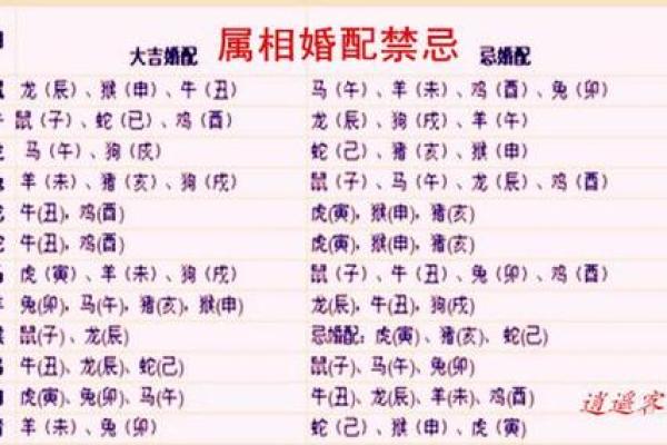 2001年鸡年:命理解读与生活指导 2001年鸡年:命理解读与生活指导