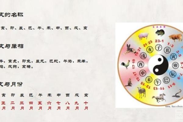 58岁属龙的命理分析:探索土命与其他元素的奥秘 58岁属龙的命理分析:探索土命与其他元素的奥秘